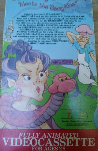 Strawberry Shortcake VHS Rare Meet The Berrykins Cartoon Children 3
