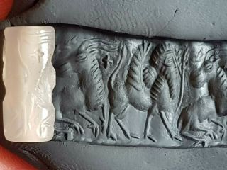 Museum Quality Extremely Rare Intact Ancient Cylinder Seal 300 Bc.  5.  0 Gr.  25 Mm