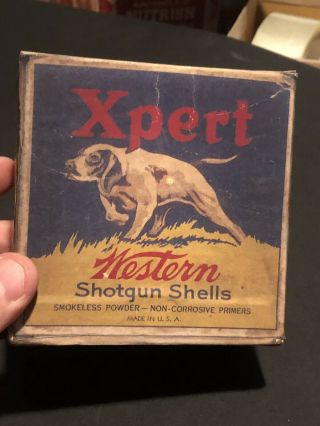Antique Western Xpert Shotgun Shot Shell Box 12 Ga W/pointer Dog Rare Empty.  Old