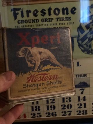 Antique Western Xpert Shotgun Shot Shell Box 12 Ga w/Pointer Dog RARE Empty.  Old 2