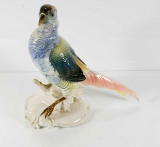 Rare Vintage Karl Ens German Porcelain Bird " Pheasant " Figurine " Marked "