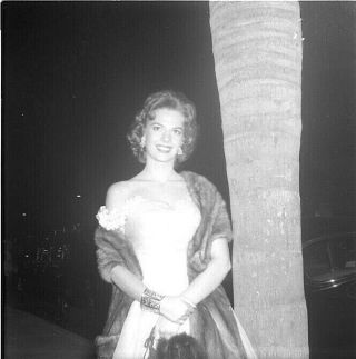 Rare Actress Natalie Wood Late 1950 