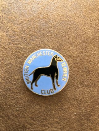 British Manchester Terrier Club Badge Very Rare