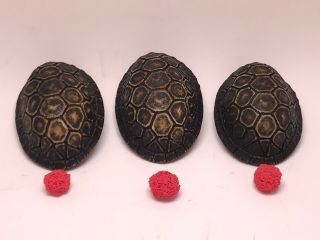 Rare Magician Black Fox The 3 Shell Game Handcrafted Deluxe Turtle Shells Magic