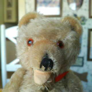 Rare Antique Vintage 1930s German Teddy Baby Bear Zotty From Music Box 9in Vgc