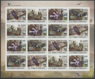 Rare Imperf.  - Sao Tome 2009 - Wwf - Parrots Birds On Stamps Mnh F104