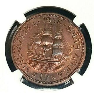 1958 South Africa Proof One Penny 1p Ngc Pf65rb Pop24 Very Rare 985 Minted 2