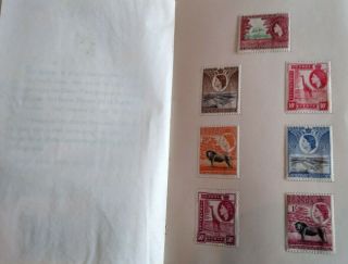 Rare East Africa Special Folder " Kut " Qeii 1955 - 58 First Definitives Stamps