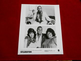 Sylvester With Two Tons O 