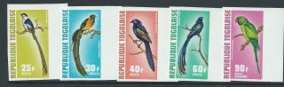 France Togo Rare Imperf Birds Set Mnh A Must For The Bird Collector