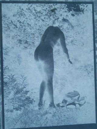 2 Vintage Glass Negatives 8 " X 10 " Glamour Pin - Up Rare Topless Nude Lady (312)