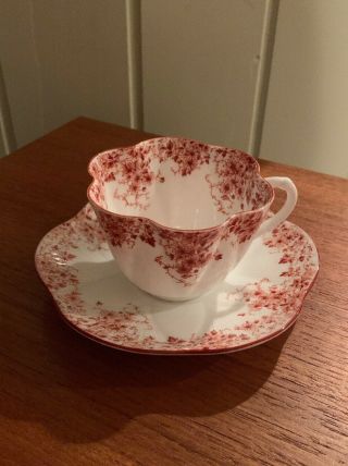 Rare Dainty Orange Shelley Cup And Saucer