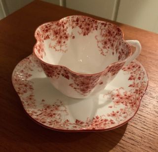 Rare Dainty Orange Shelley Cup And Saucer 2