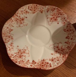 Rare Dainty Orange Shelley Cup And Saucer 3