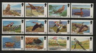 Falkland Islands 1998 Rare Visiting Birds Set Unmounted