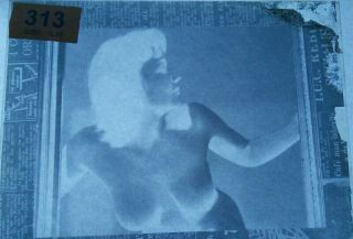 2 Vintage Glass Negatives 8 " X 10 " Glamour Pin - Up Rare Topless Bare Lady (313)