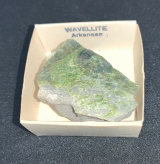 Rare Vintage Wavellite Mineral Crystal Sample From Arkansas