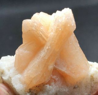 49.  8g Rare specimen of natural Marine rhyolite and zeolite 4