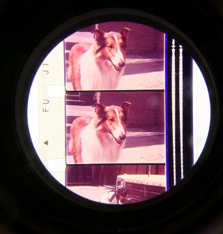 16mm Film Lassie The Road Back (1974) Jed Allan Rare Feature Version COLOR 2
