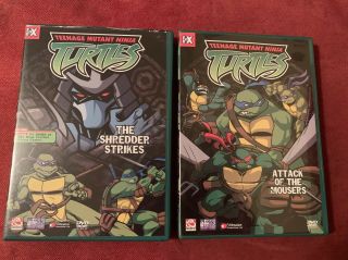 Teenage Mutant Ninja Turtles - Radical Pack Boxed Set (DVD2003 4 - Disc) RARE W/figs 7