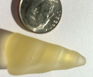 Santa Cruz Sea Glass Surf Tumbled Rare Yellow Ribbed Triangle Jewelry Grade A
