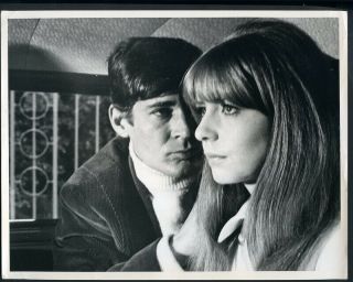 Jane Asher & Michael Johnson - Very Rare 1966 Press Photograph
