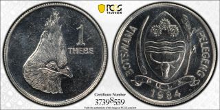 1984 Botswana Thebe Pcgs Sp64 - Extremely Rare Kings Norton Proof