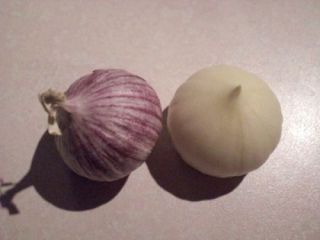 Thai Garlic 10 Rare Single Cloves Bulb Herb Vegetable Heirloom