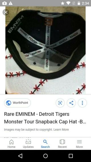 Eminem Detroit Tiger 
