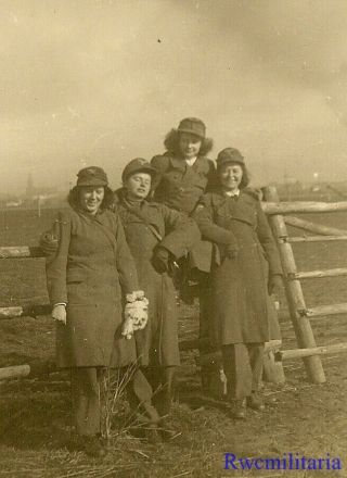 Port.  Photo: Rare Group Female Uniformed Helferin Girls Posed In Field By Fence