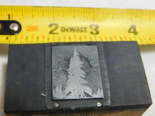 RARE VINTAGE Printers Block Print Block - Christmas Tree Pine Tree 3