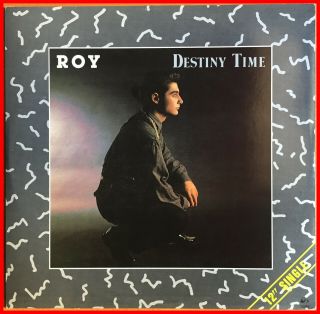 Italo Disco 12 " Roy - Destiny Time (special Remix) Stamina - Rare 