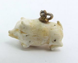 Rare Antique Victorian Tiny Hand Carved Angel Skin Coral Pig Fob Charm Pendant