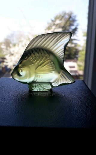 Lalique Fish,  Rare/unusual,  Fish Figure Anise Special,  Angel Fish.  Bnib