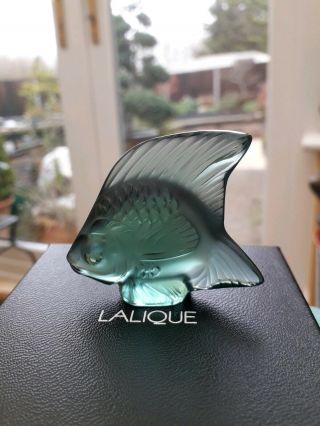Lalique Fish,  Rare/unusual,  Seal Fish Courlis Green Spe,  Angel Fish.  Bnib