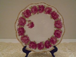 Rare Haviland China Pattern " Red Dropped Rose " Luncheon/salad Plate