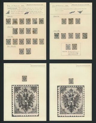 Bosnia & Herzegovina Stamps 1894 - 1895 Rare Study Of 1/2k Both Types,  4 Pages Vf
