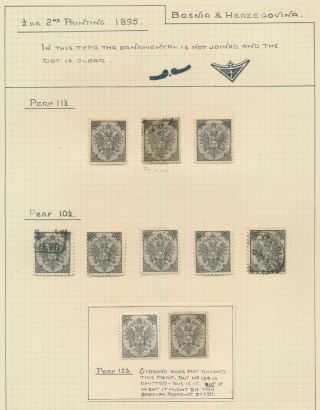BOSNIA & HERZEGOVINA STAMPS 1894 - 1895 RARE STUDY OF 1/2k BOTH TYPES,  4 PAGES VF 5