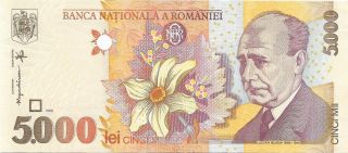 Romania 5000 Lei,  P - 107b,  Unc From 1998; Daffodil;rare Variety Issue See Photo