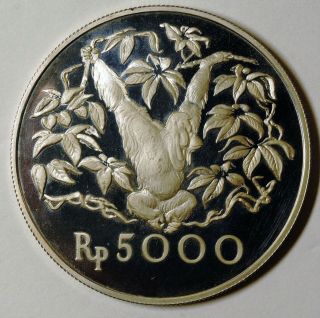 1974 Indonesia Orangutan Silver Proof And Rare Mirrors