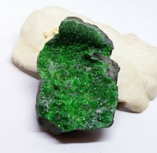 Rare Natural Uvarovite Bright Green Garnet Druzy Crystall Specimen Russia 1.  2 "