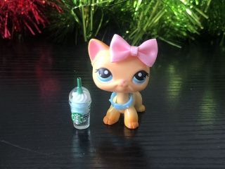 Authentic Hasbro Littlest Pet Shop Lps Short Hair Cat 339 With Magnet Rare