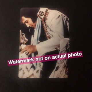 Rare Vintage Elvis Photo - On Stage - Kneeling Down For Fan - Snapshot