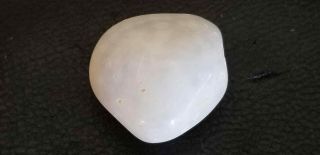 Translucent 21.  60 Ct - White Sheba Stone More Rare Than Cintamani Wow