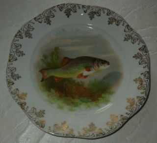 Antique Vintage Fish Plate Trout Rare 7 1/2 " Germany ?