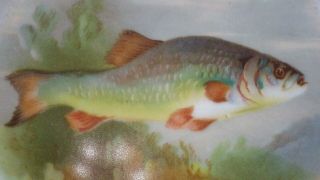 ANTIQUE VINTAGE FISH PLATE TROUT RARE 7 1/2 