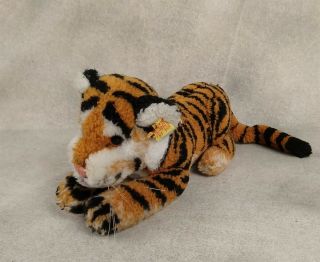 Steiff Wittie Tiger Vintage Knitted Fur 0820/16 1980 - 83 Rare 12 " Nose - Tail Tip