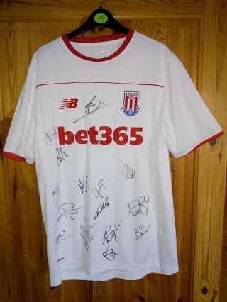 Stoke City Very Rare 3rd Shirt Signed (not Many Available)