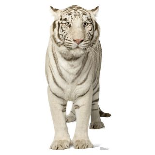 White Tiger Rare Big Cat Lifesize Cardboard Cutout Standee Standup Poster Prop