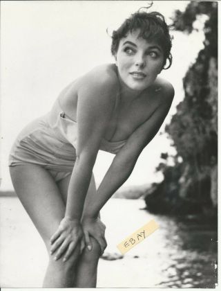 Joan Collins Sexy Swim Suit Pin Up Shot 9 1/2 X 7 1/2 Vintage Still Rare Photo